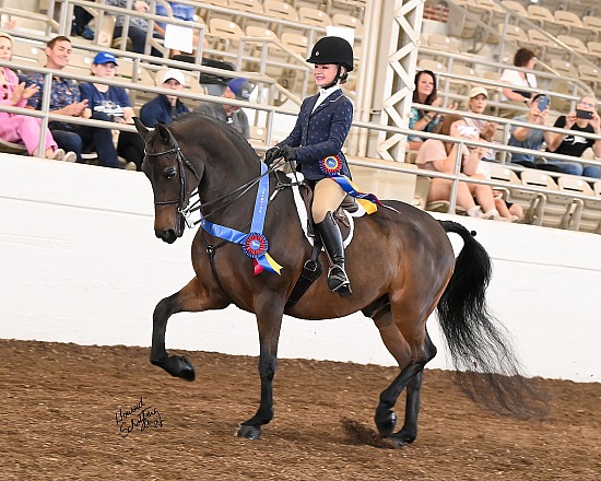 Jubilee Morgan Horse Show September 2-5