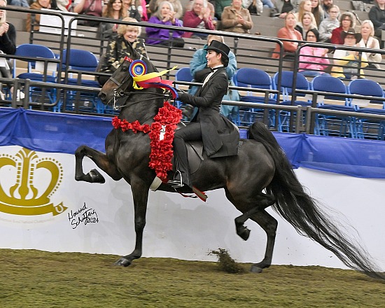 UPHA American Royal: November 16-21